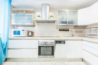 Апартаменты Spacious Luxury Apartments Минск Апартаменты Делюкс-9